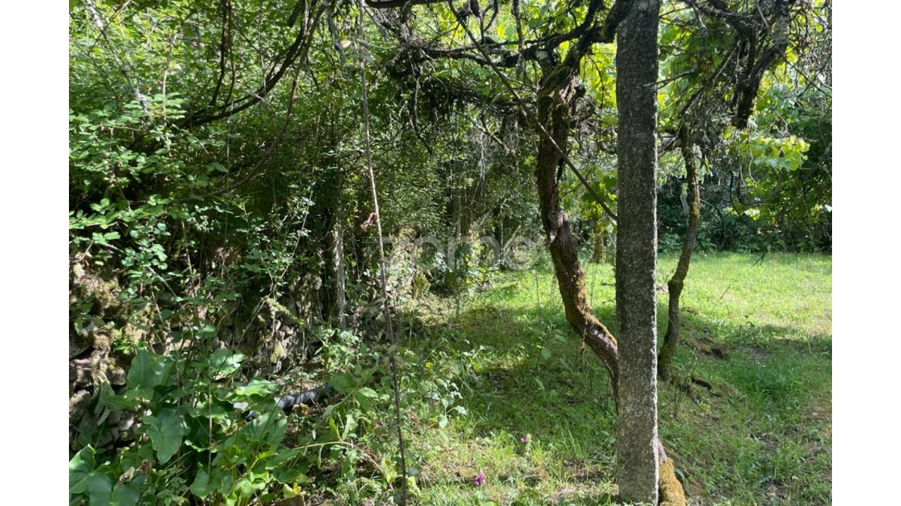 Moradia T5 para Venda em Britelo Foto 24