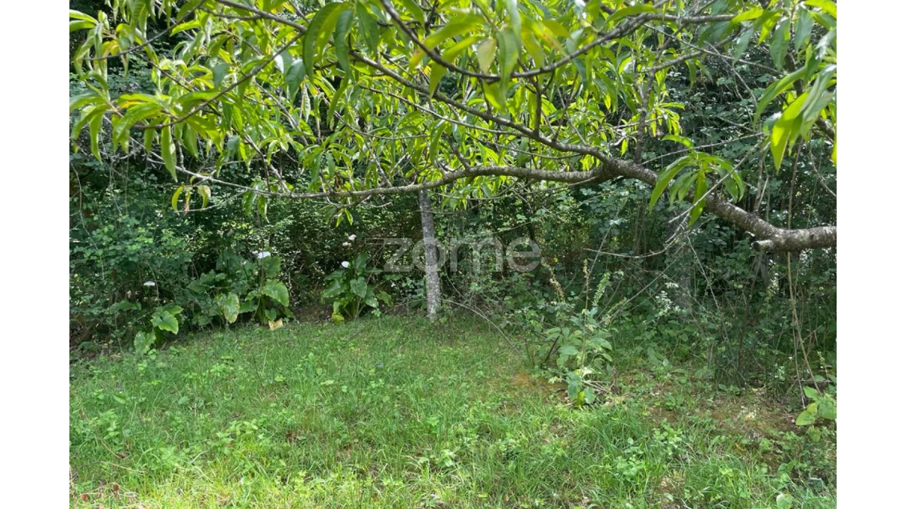 Moradia T5 para Venda em Britelo Foto 29