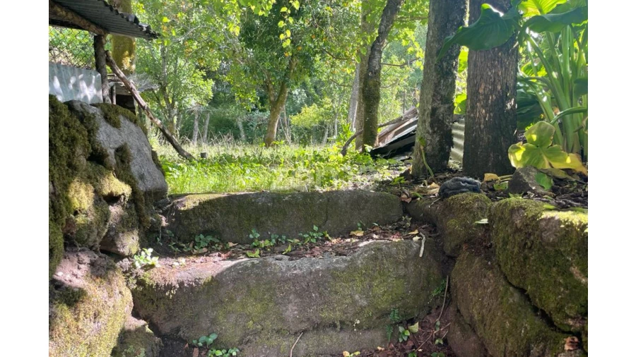 Moradia T5 para Venda em Britelo Foto 20