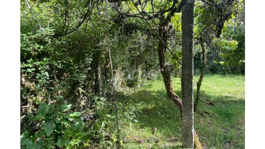 Moradia T5 para Venda em Britelo Foto 24