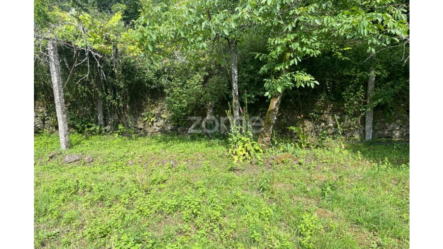 Moradia T5 para Venda em Britelo Foto 27