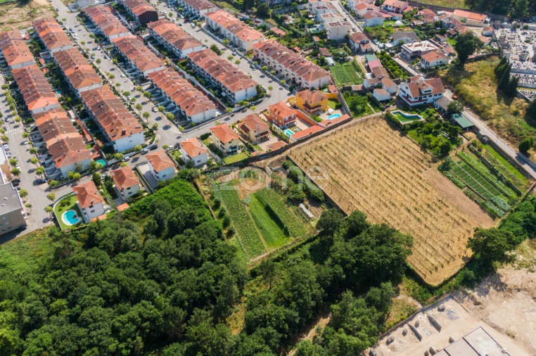 Quinta T6 para Venda em Palmeira Foto 62