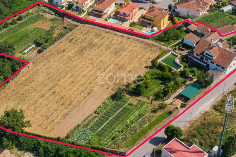 Quinta T6 para Venda em Palmeira Foto 73