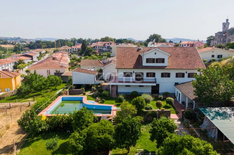 Quinta T6 para Venda em Palmeira Foto 4