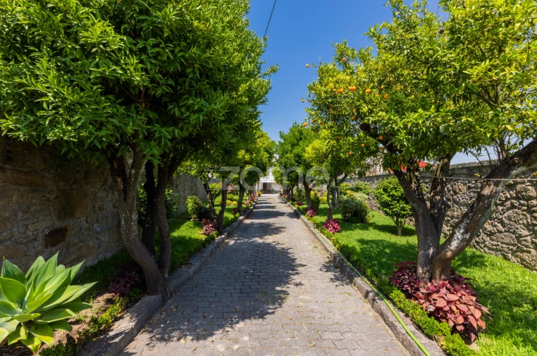 Quinta T6 para Venda em Palmeira Foto 7