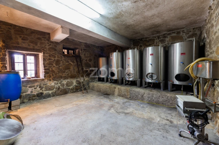 Quinta T6 para Venda em Palmeira Foto 65