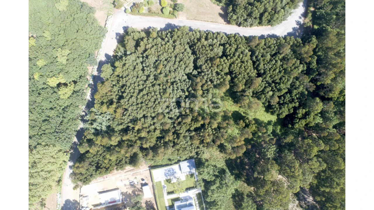 Terreno para Venda em Serzedo e Perosinho Foto 1