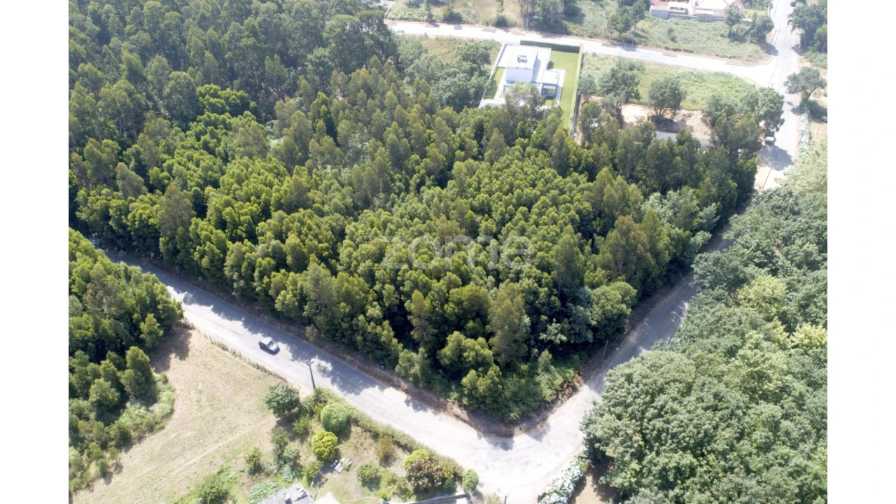 Terreno para Venda em Serzedo e Perosinho Foto 18