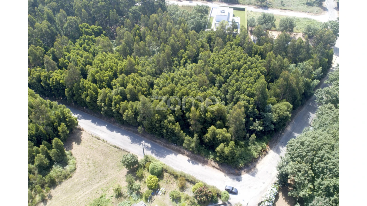 Terreno para Venda em Serzedo e Perosinho Foto 19
