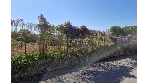Terreno para Venda em São João da Madeira
