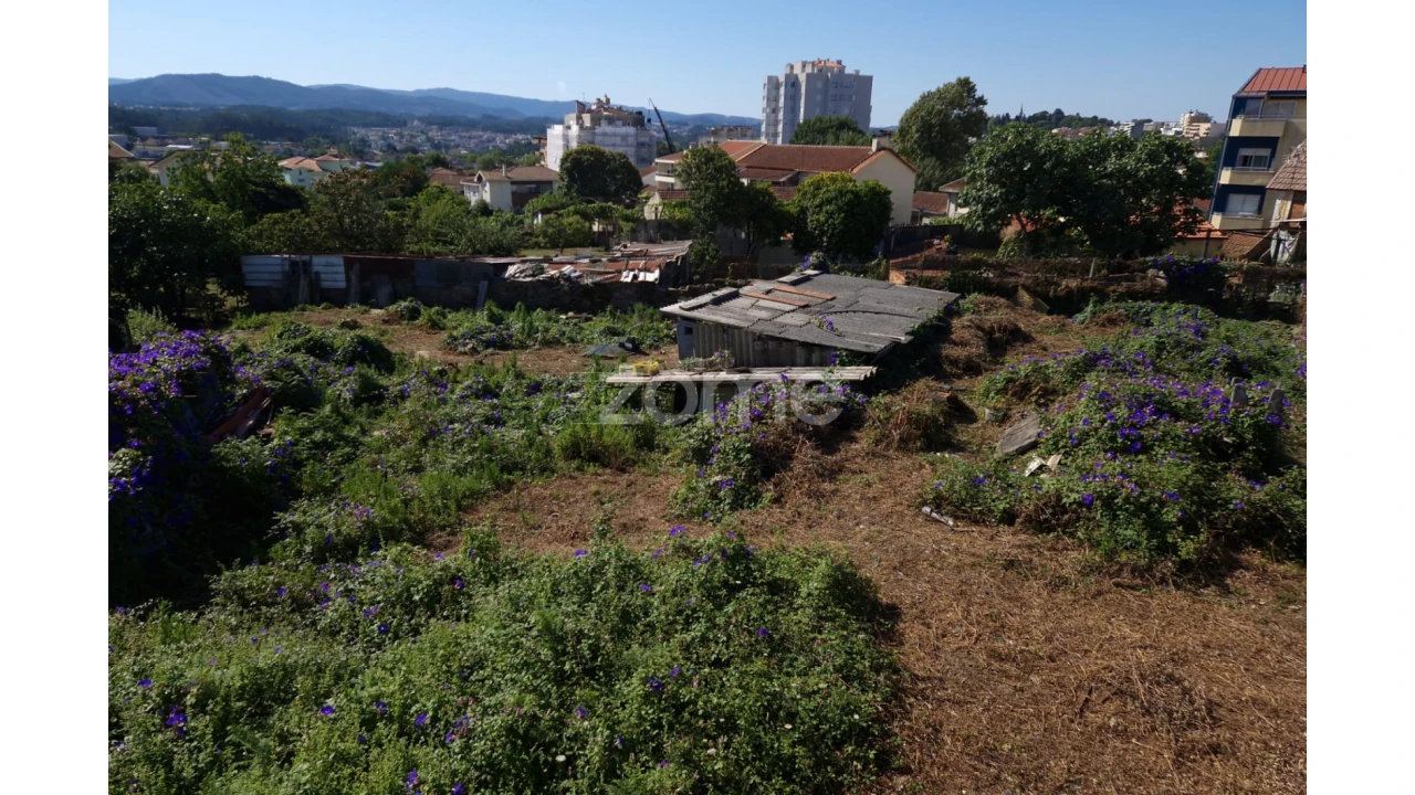 Terreno para Venda em São João da Madeira Foto 4