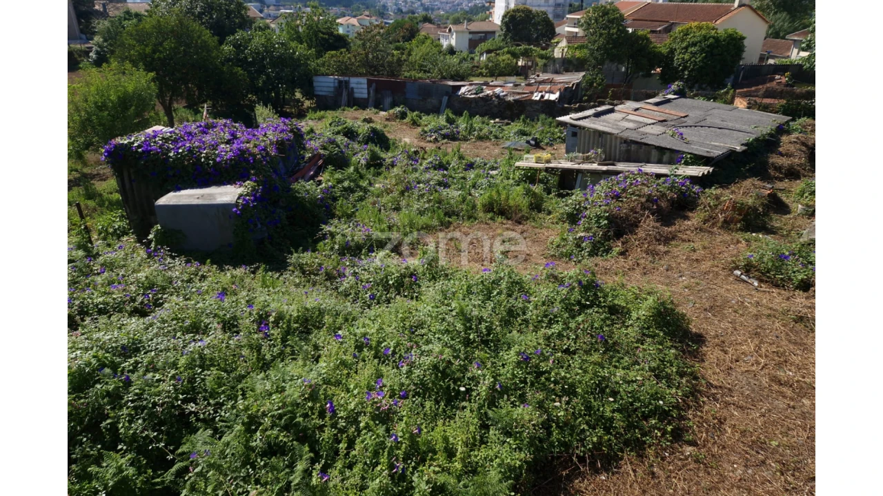 Terreno para Venda em São João da Madeira Foto 6