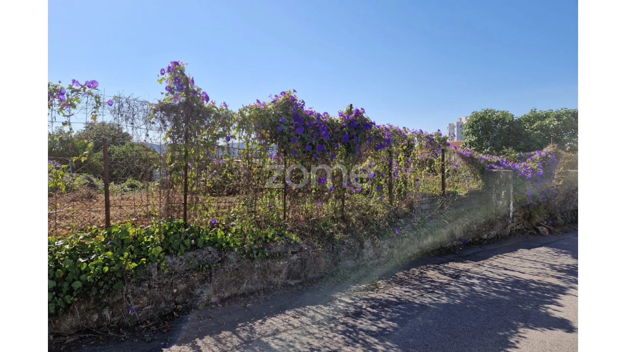 Terreno para Venda em São João da Madeira Foto 1