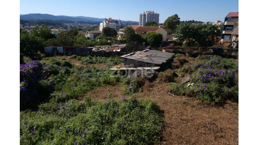 Terreno para Venda em São João da Madeira Foto 4