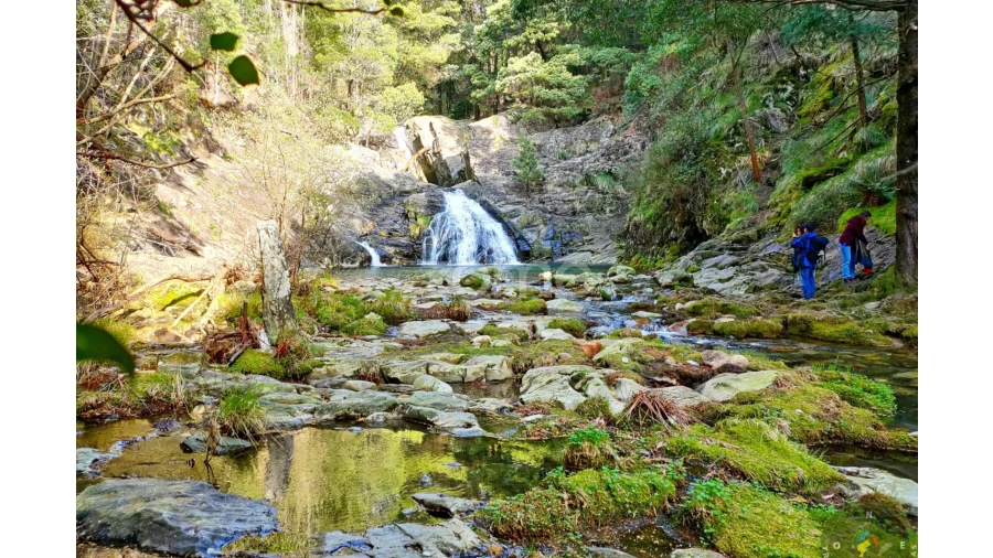 Terreno para Venda em Gondar e Orbacém Foto 25