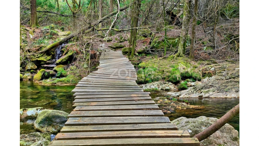 Terreno para Venda em Gondar e Orbacém Foto 27