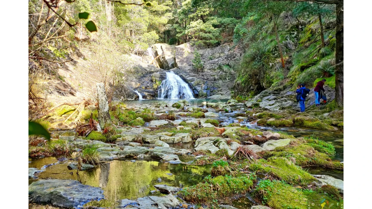 Terreno para Venda em Gondar e Orbacém Foto 25