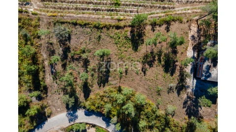 Terreno para Venda em Amarante (São Gonçalo), Madalena, Cepelos e Gatão