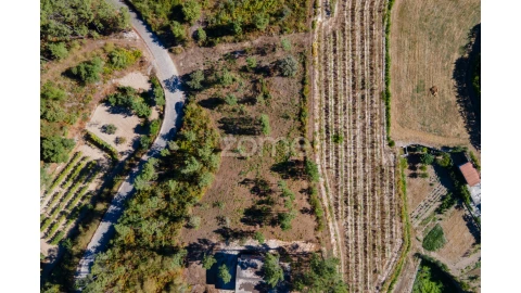 Terreno para Venda em Amarante (São Gonçalo), Madalena, Cepelos e Gatão