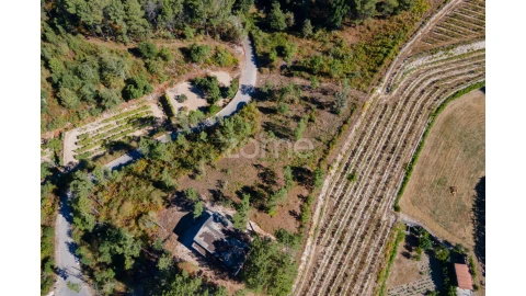 Terreno para Venda em Amarante (São Gonçalo), Madalena, Cepelos e Gatão