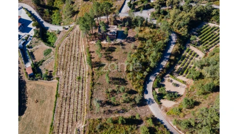 Terreno para Venda em Amarante (São Gonçalo), Madalena, Cepelos e Gatão