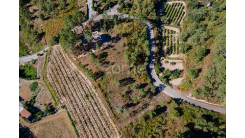 Terreno para Venda em Amarante (São Gonçalo), Madalena, Cepelos e Gatão