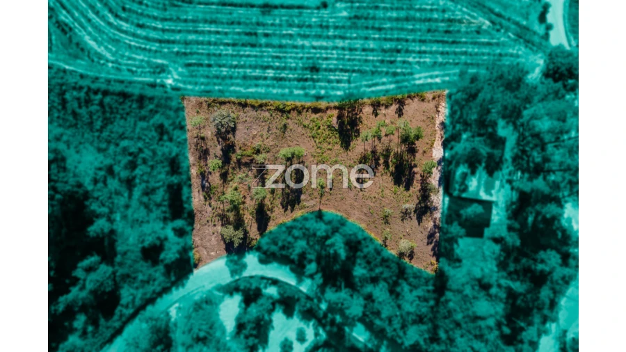 Terreno para Venda em Amarante (São Gonçalo), Madalena, Cepelos e Gatão Foto 19