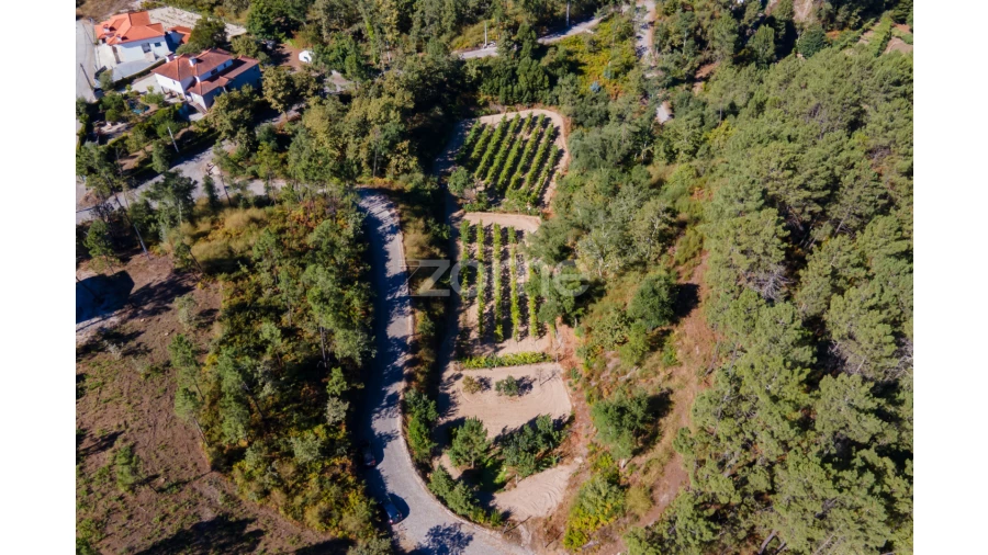 Terreno para Venda em Amarante (São Gonçalo), Madalena, Cepelos e Gatão Foto 4