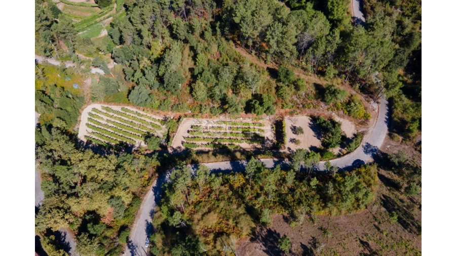 Terreno para Venda em Amarante (São Gonçalo), Madalena, Cepelos e Gatão Foto 8