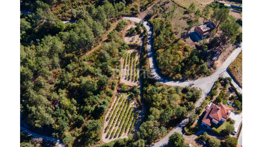Terreno para Venda em Amarante (São Gonçalo), Madalena, Cepelos e Gatão Foto 25