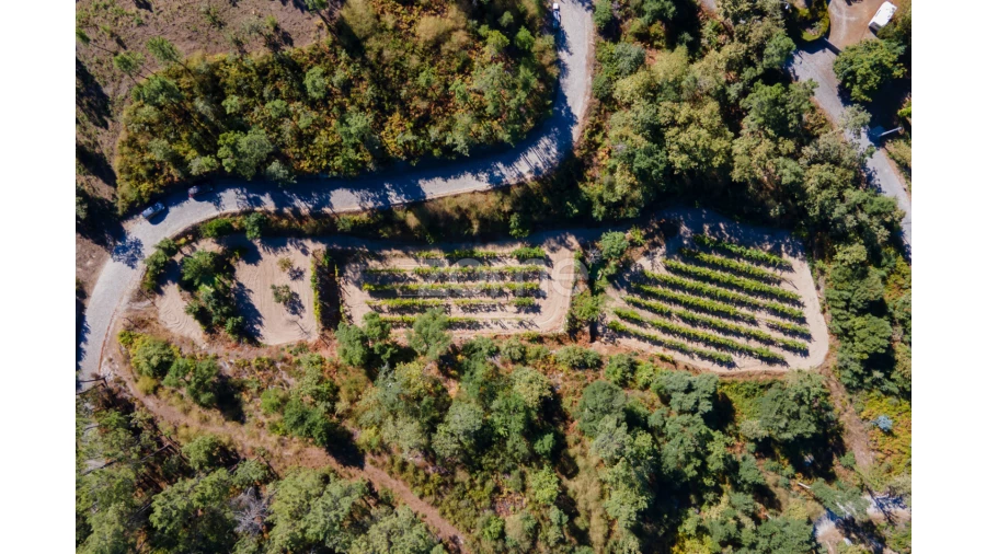 Terreno para Venda em Amarante (São Gonçalo), Madalena, Cepelos e Gatão Foto 13