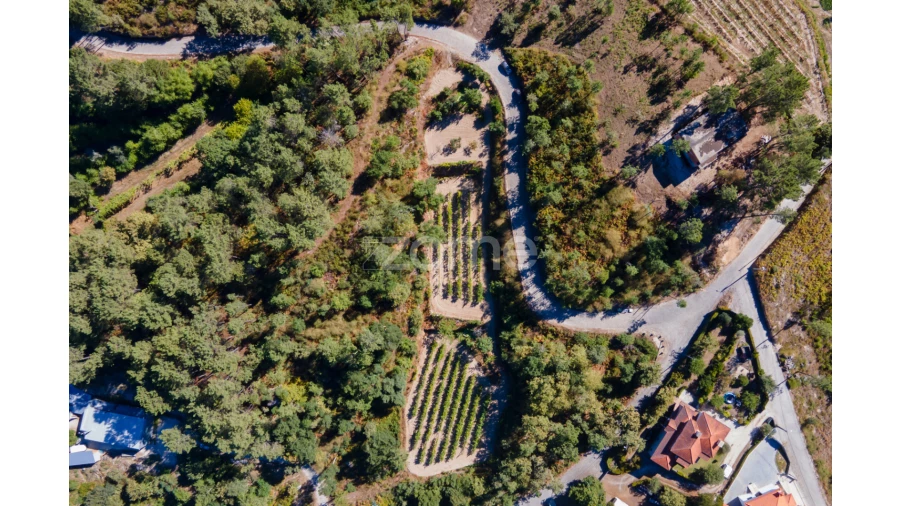 Terreno para Venda em Amarante (São Gonçalo), Madalena, Cepelos e Gatão Foto 15