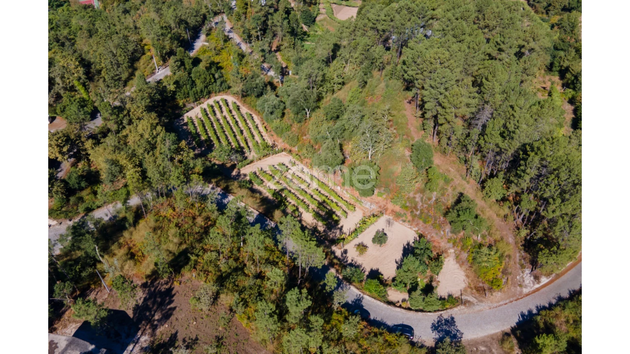 Terreno para Venda em Amarante (São Gonçalo), Madalena, Cepelos e Gatão Foto 24