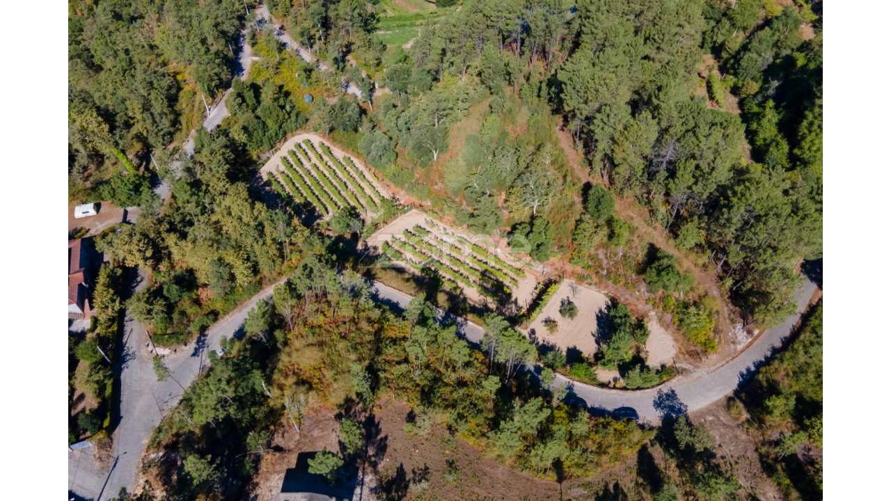 Terreno para Venda em Amarante (São Gonçalo), Madalena, Cepelos e Gatão Foto 7