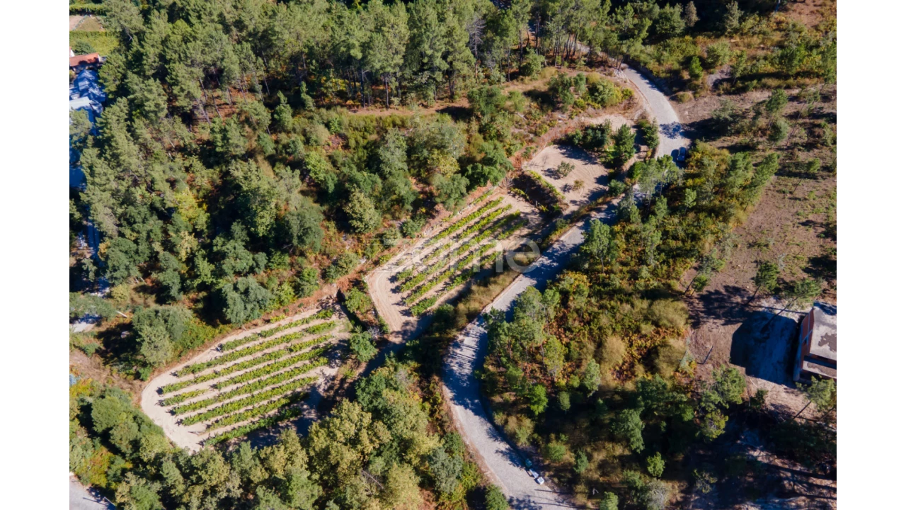 Terreno para Venda em Amarante (São Gonçalo), Madalena, Cepelos e Gatão Foto 11