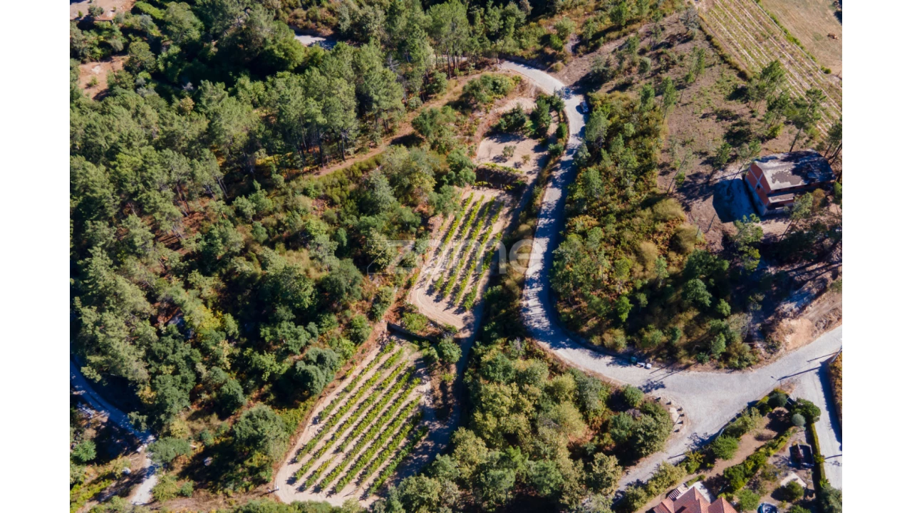 Terreno para Venda em Amarante (São Gonçalo), Madalena, Cepelos e Gatão Foto 12
