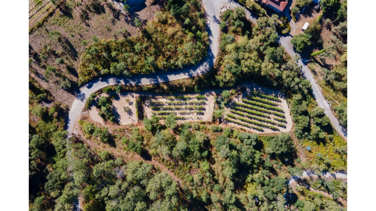 Terreno para Venda em Amarante (São Gonçalo), Madalena, Cepelos e Gatão Foto 14