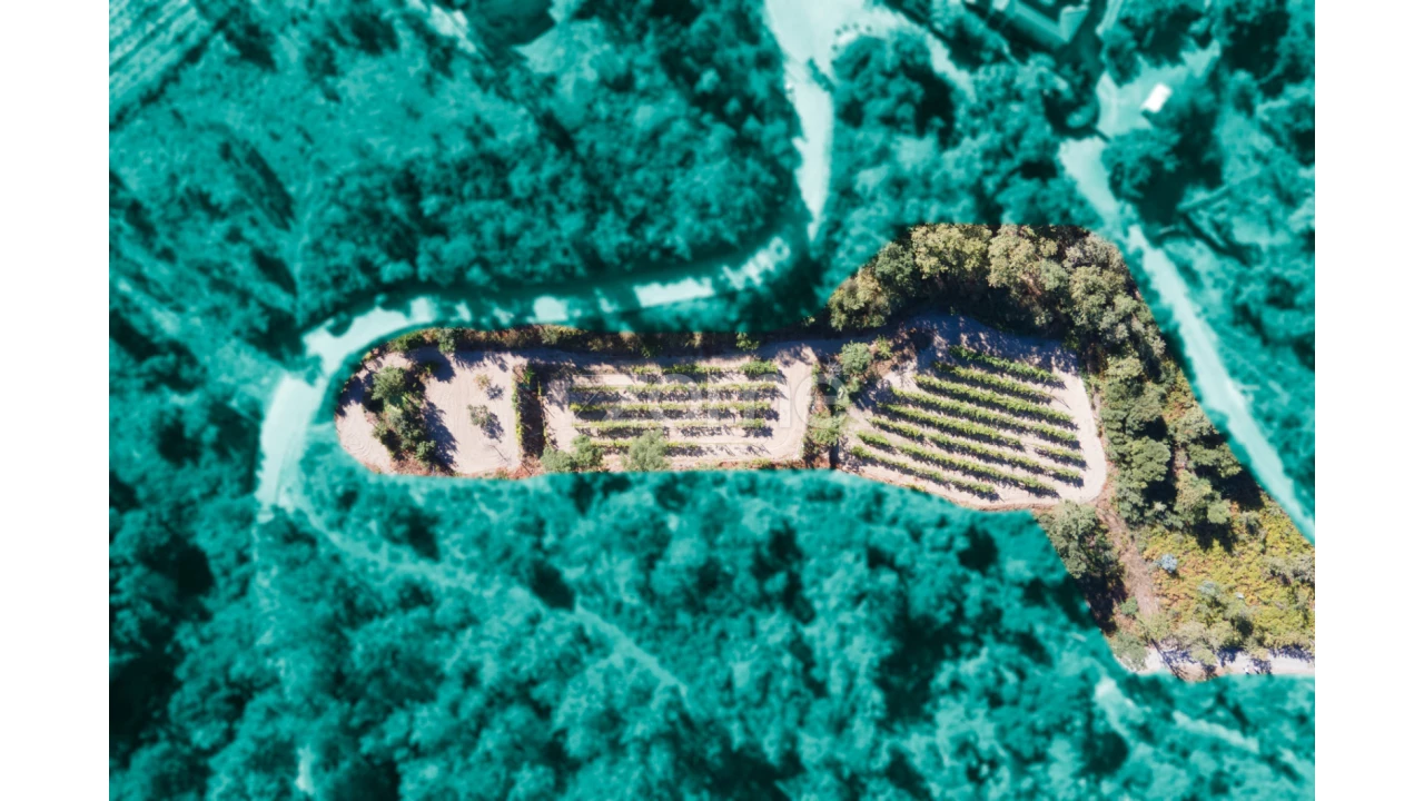 Terreno para Venda em Amarante (São Gonçalo), Madalena, Cepelos e Gatão Foto 27