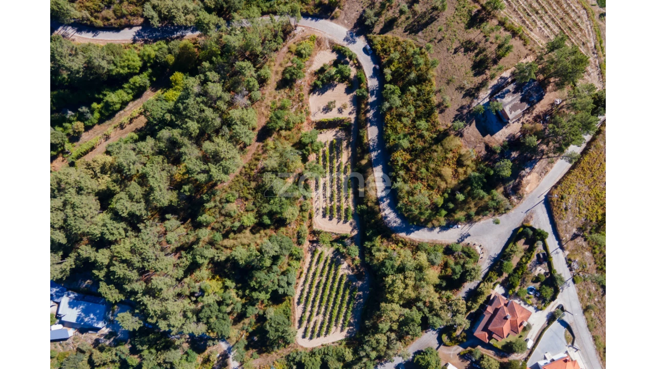 Terreno para Venda em Amarante (São Gonçalo), Madalena, Cepelos e Gatão Foto 15
