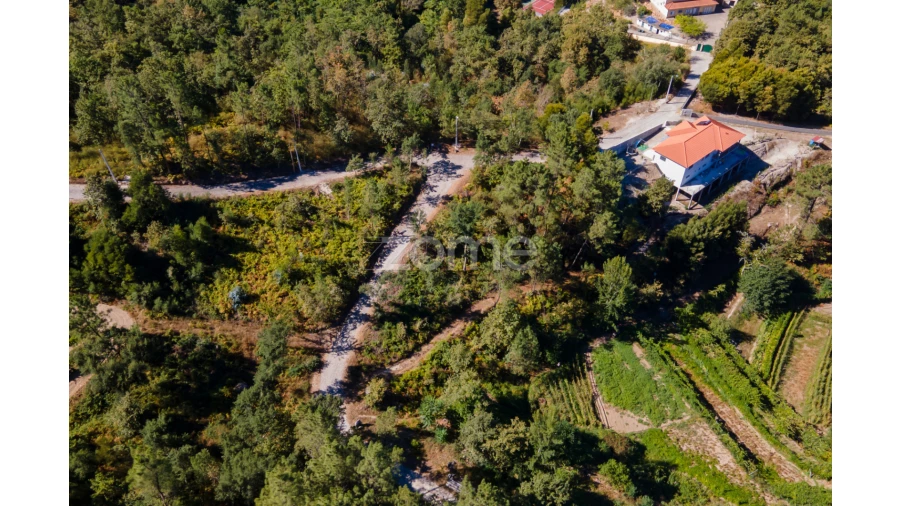 Terreno para Venda em Amarante (São Gonçalo), Madalena, Cepelos e Gatão Foto 6