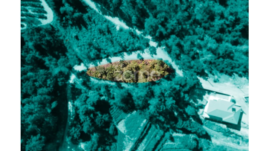 Terreno para Venda em Amarante (São Gonçalo), Madalena, Cepelos e Gatão Foto 22