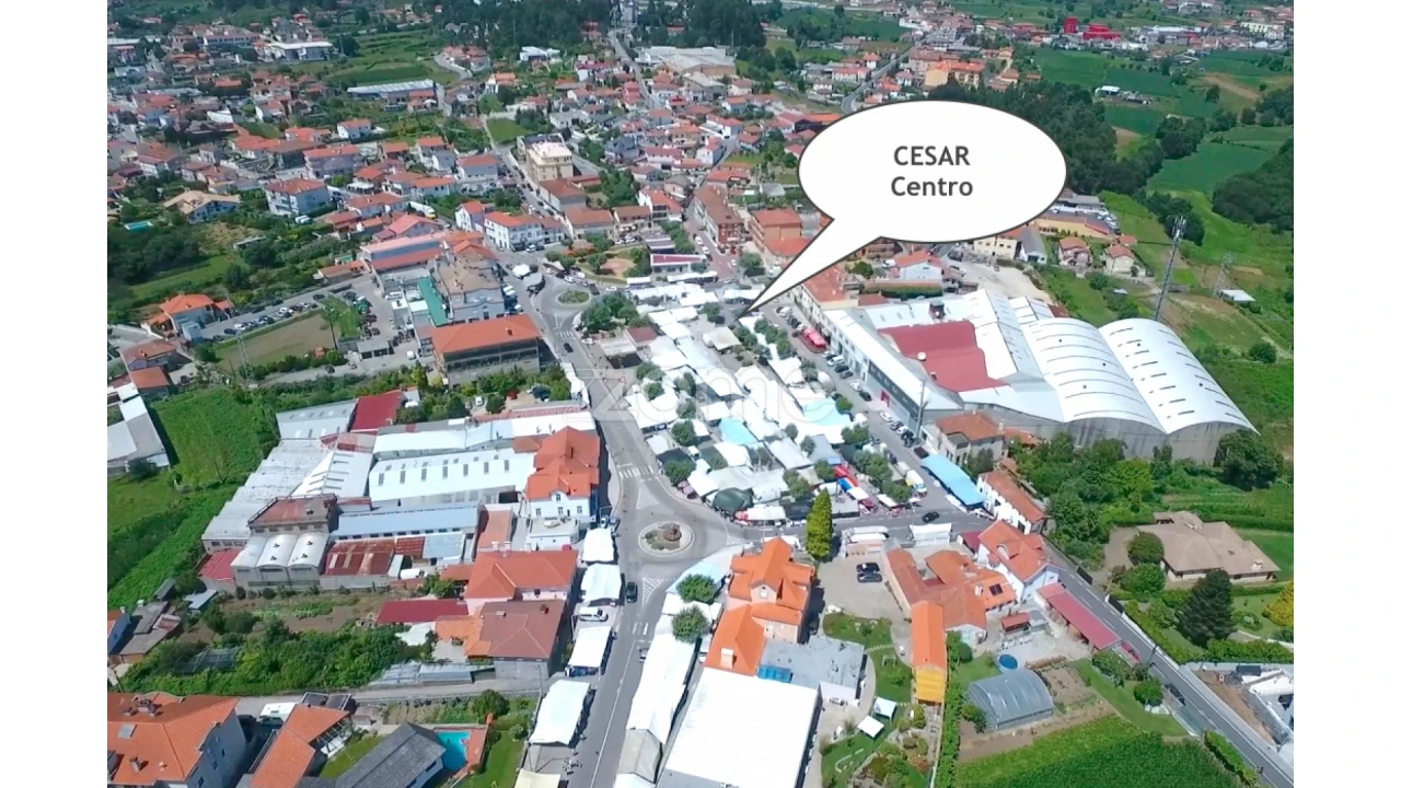 Terreno para Venda em Cesar Foto 13