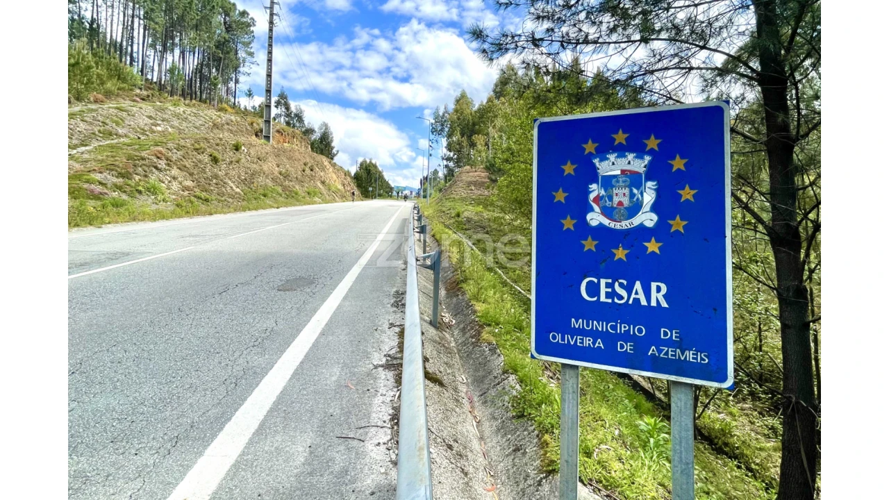 Terreno para Venda em Cesar Foto 14