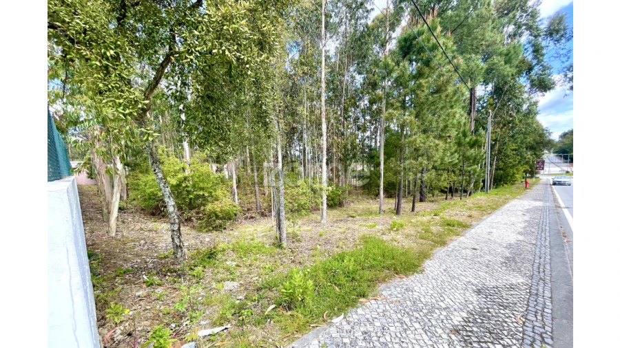 Terreno para Venda em Cesar Foto 6