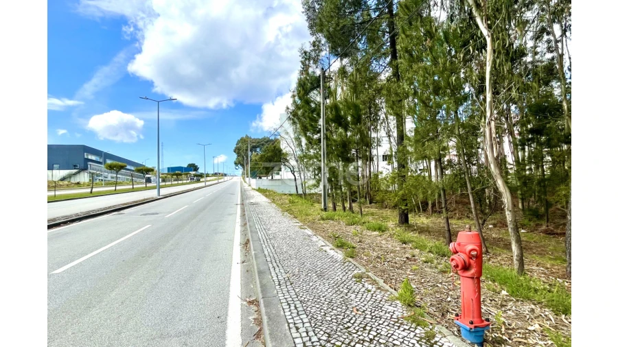 Terreno para Venda em Cesar Foto 8
