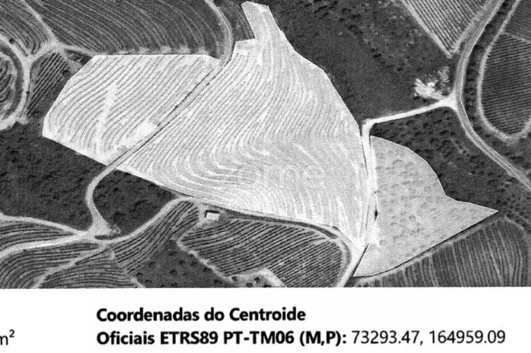 Quinta T5 para Venda em Seixo de Ansiães Foto 53