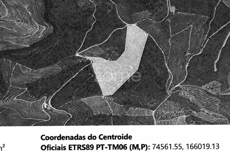 Quinta T5 para Venda em Seixo de Ansiães Foto 54