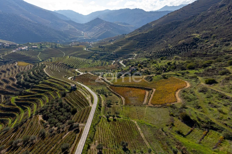 Quinta T5 para Venda em Seixo de Ansiães Foto 3