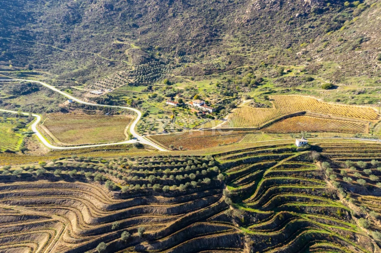 Quinta T5 para Venda em Seixo de Ansiães Foto 5
