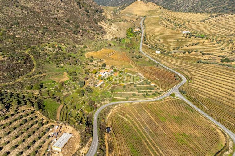 Quinta T5 para Venda em Seixo de Ansiães Foto 8